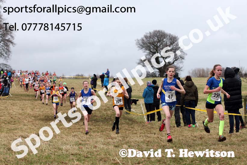 Girls under-13s, 2018 Northern Cross Country Champs., Harewood House, Leeds. Photo: David T. Hewitson/Sports for All Pics